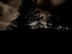 stormy clouds sephia.jpg (27kb)